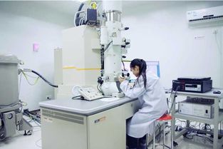 選對大學專業 中國材料科學與計算機工程強校對比，浙大與交大如何抉擇